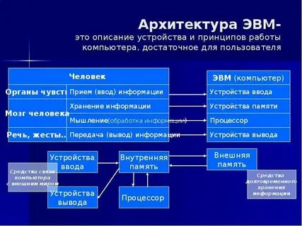 Основные виды архитектур эвм