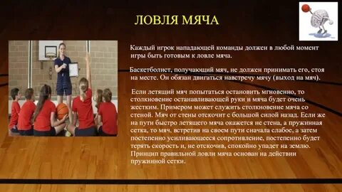 Команда лови