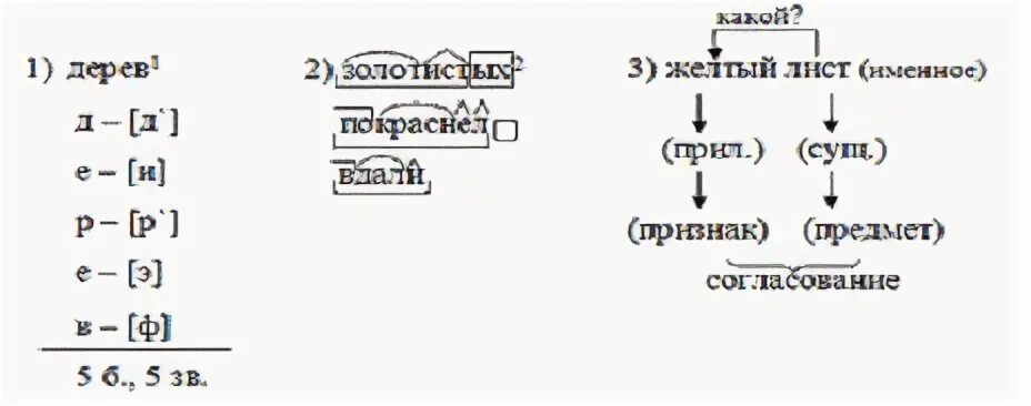 Листьев разбор 1