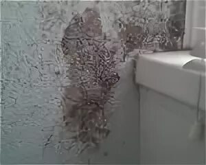 Плесень на стенах балкона