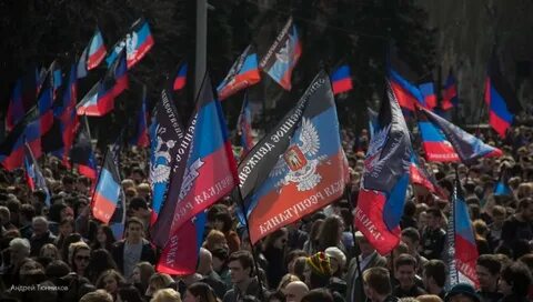 Организации днр
