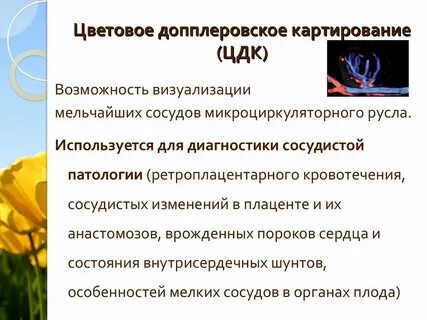 Цветное картирование