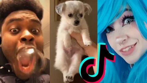 Tiktok memes