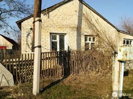 Погода сенной волгоградская обл михайловский