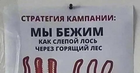 Жизнь прошла на работе
