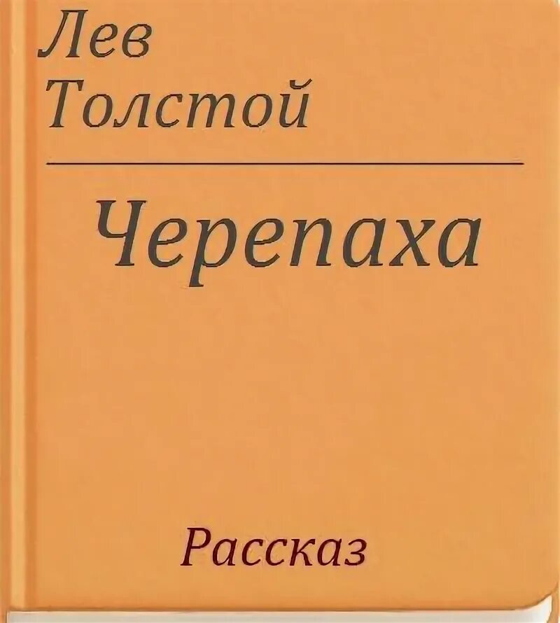 Черепаха - стихотворение Чуковского. Читать с картинками