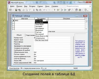 Числовой тип данных в access