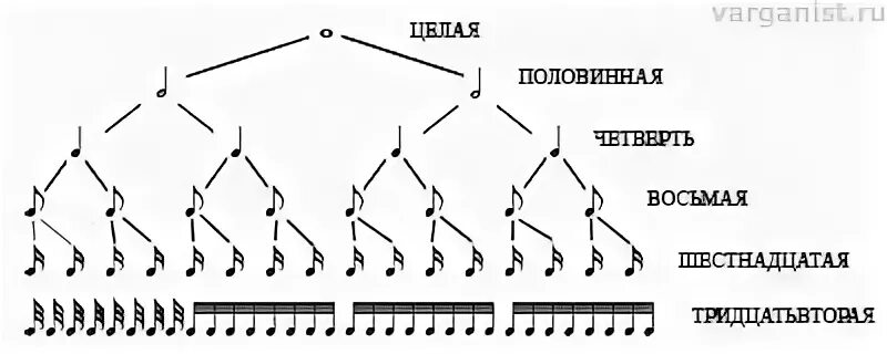 ноты целые половинные четвертные восьмые.
