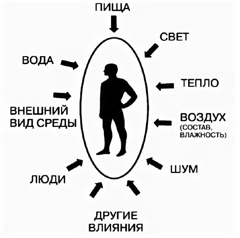 Воздействия внешних факторов на организм человека. Факторы внешней среды влияющие на организм человека. Факторы внешней среды влияющие на здоровье человека. Факторы окружающей среды влияющие на организм человека. Воздействие факторов окружающей среды на организм человека.