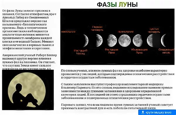 Фаза луны человека