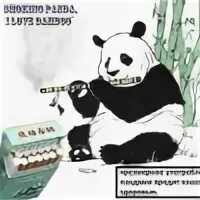 Люблю чай как панда любит бамбук