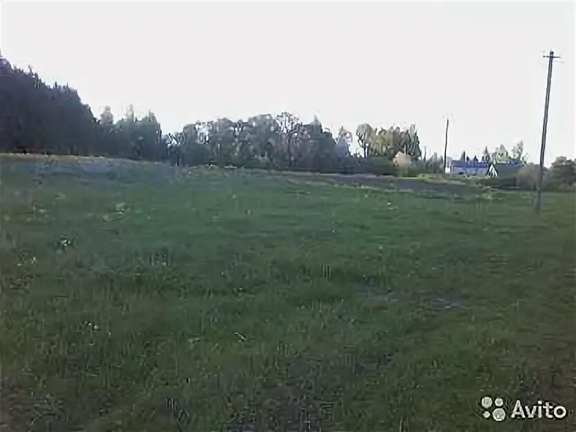 Погода в русаново великолукского