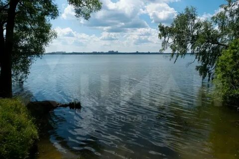 Тимоново солнечногорск