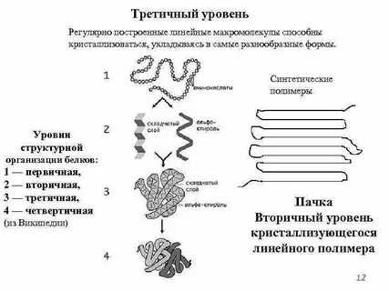 Вторичный уровень белков