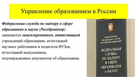 Управление образования документы