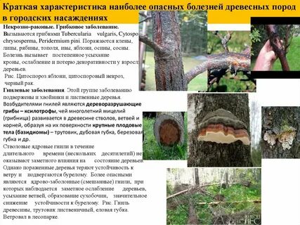 Болезни породы