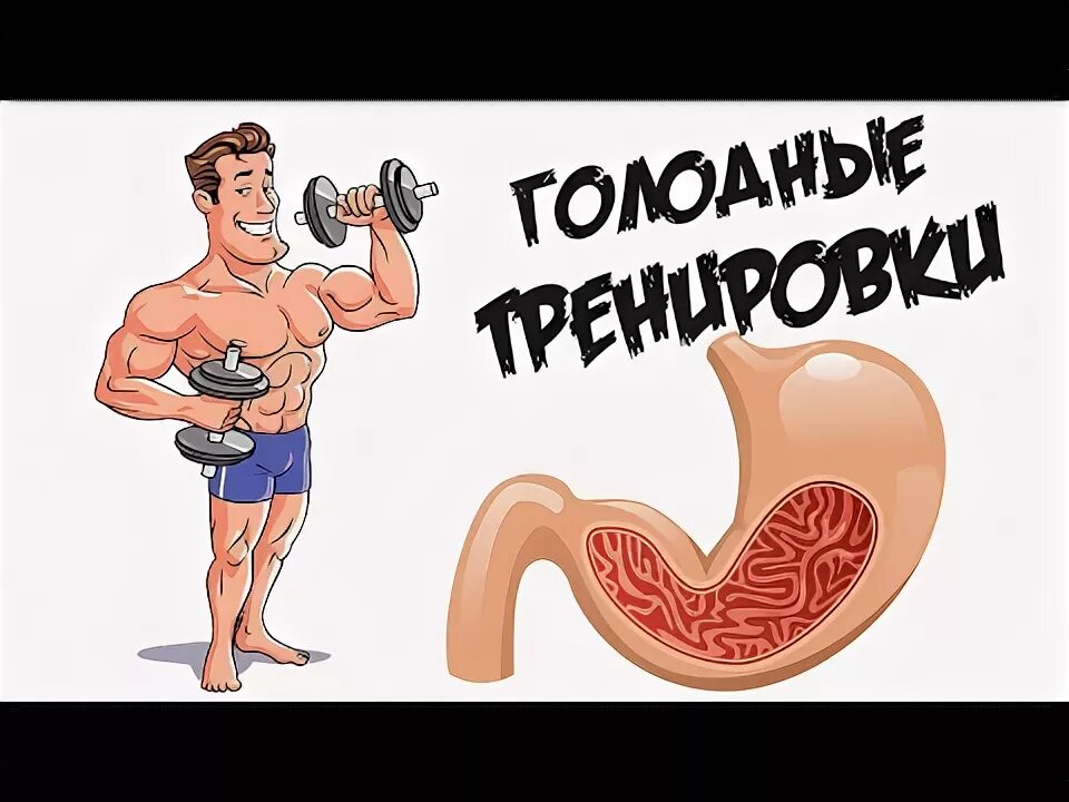 Спорт на голодный желудок. Тренировка на голодный желудок. Заниматься спортом на пустой желудок. Занятие спортом утром на голодный желудок.