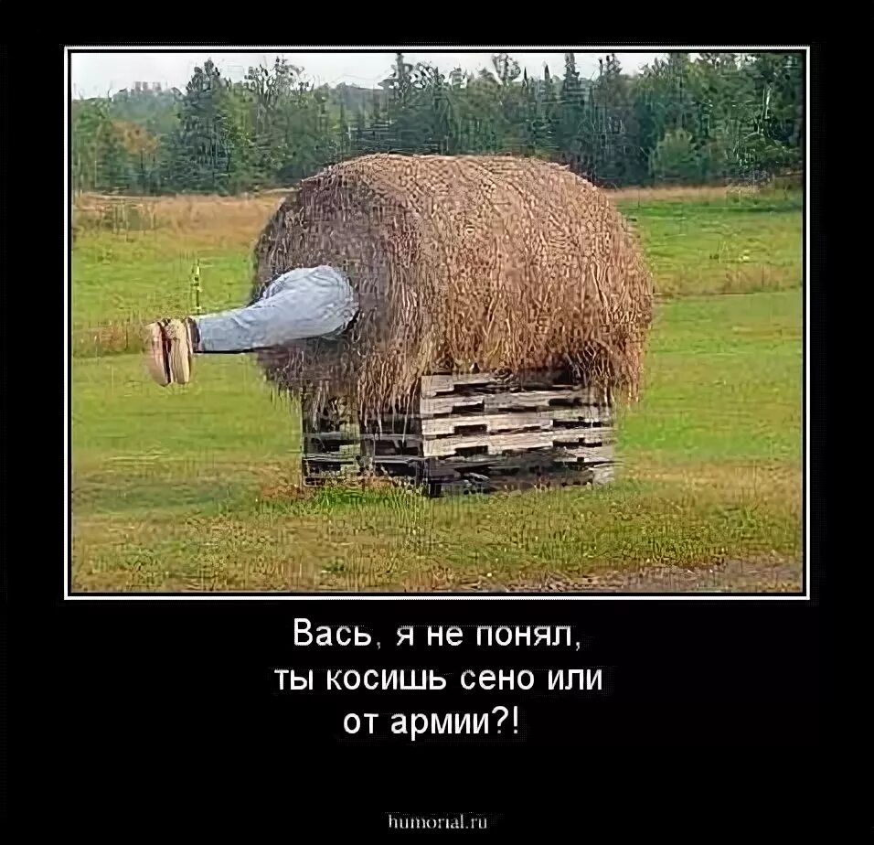 Сашок мем. Мемы про васю смешные. Вася понимаешь. Вася жорик вартанов. Анекдоты про армию.