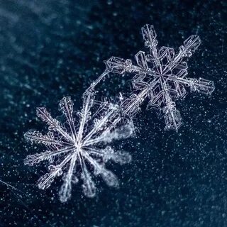 Первая снежинка