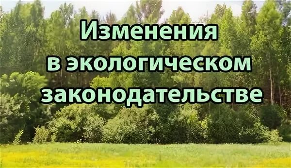 Законодательство в природоохранной деятельности