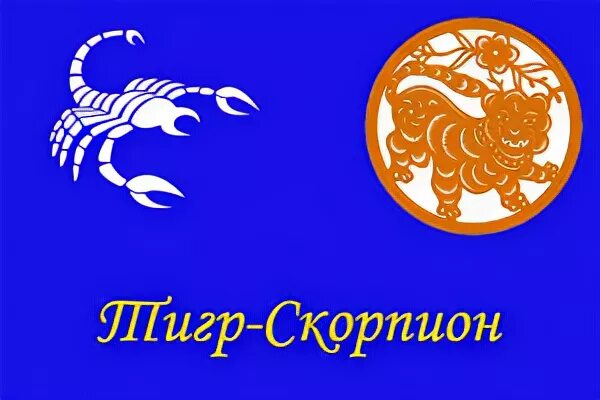 Змея скорпион 2024 год