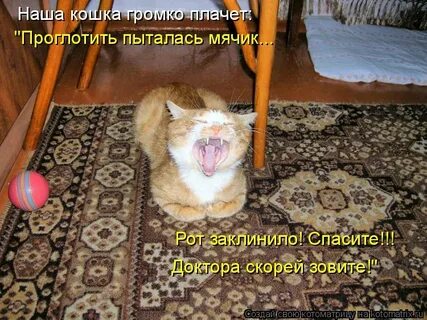 Громче вой