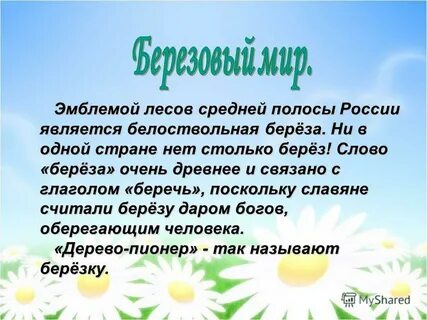Род слова береза