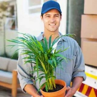 Moving plant