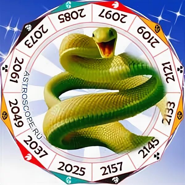 Знак зодиака змея. Год змеи 2025. 2025 Год год какого животного. 2025 Год какого животногоэ. Следующий год змеи