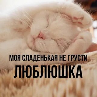 Сладенький