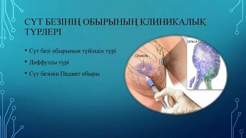 Сексуалдық үй