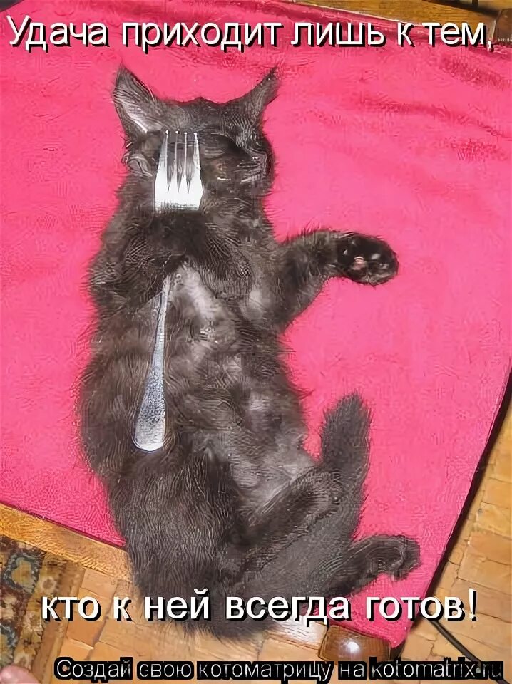 Добрый человек всегда готов прийти на помощь. Готовы прийти на помощь. Всегда готовы прийти на. Смешные футболки. Всегда готов прийти на помощь.