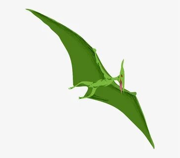 Pterodactyl wings