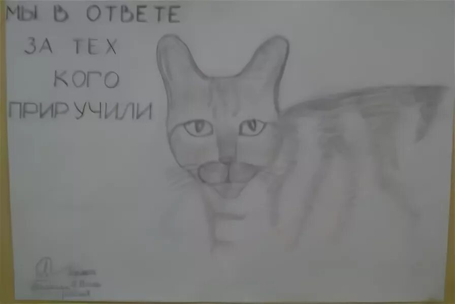 Рисование мы в ответе за тех кого приручили. Мы в ответе за тех кого приручили конкурс. Мы ответственны за тех кого приручили. Рисунок тех кого мы приручили. Мы в отвеза тех, кого приручили рисунок.