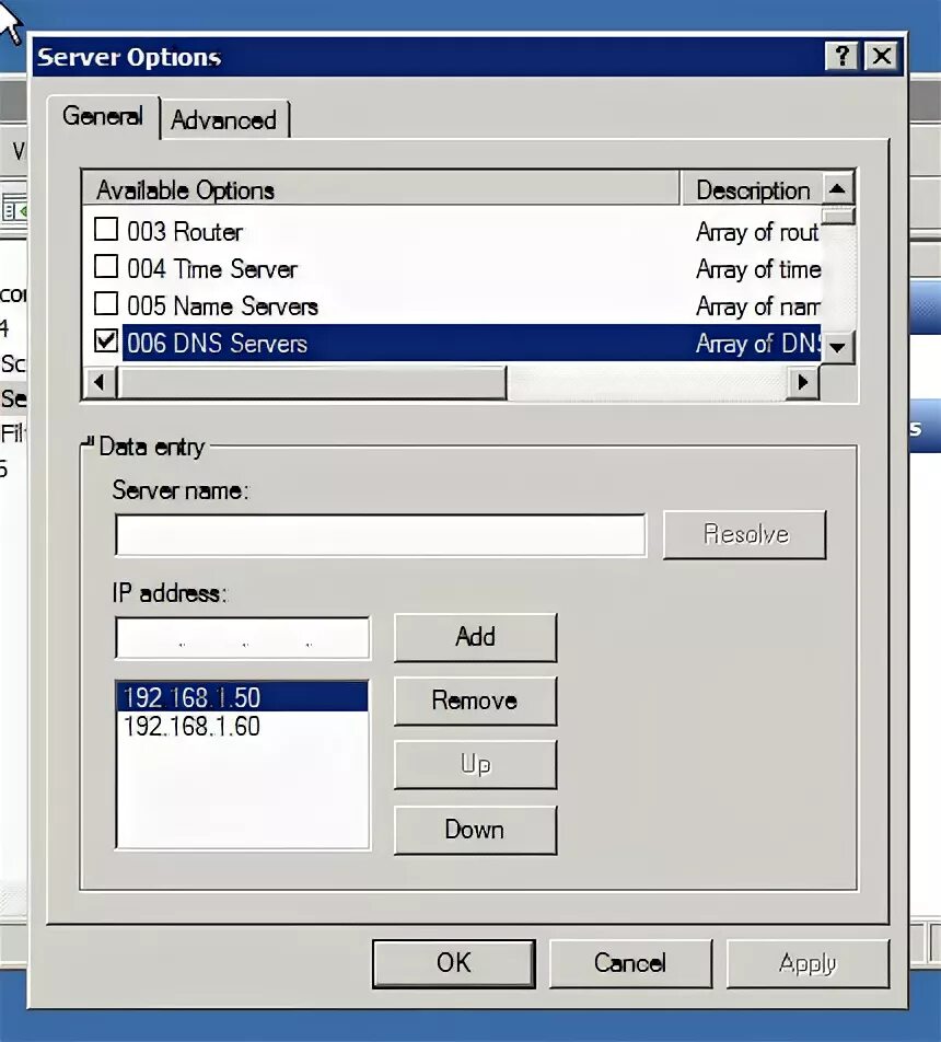 Server options. Dhcp options.