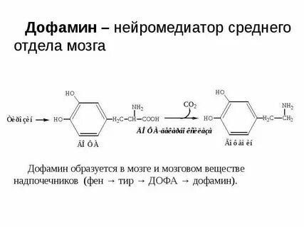 Серотонина дофамина норадреналина