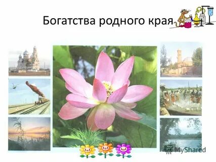 Родная богатства