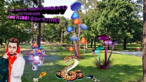 Гон флад барби
