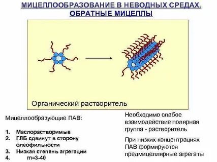 Среда пав