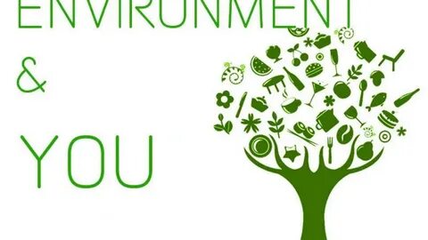 Environment слова