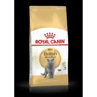 Royal canin для британских короткошерстных кошек