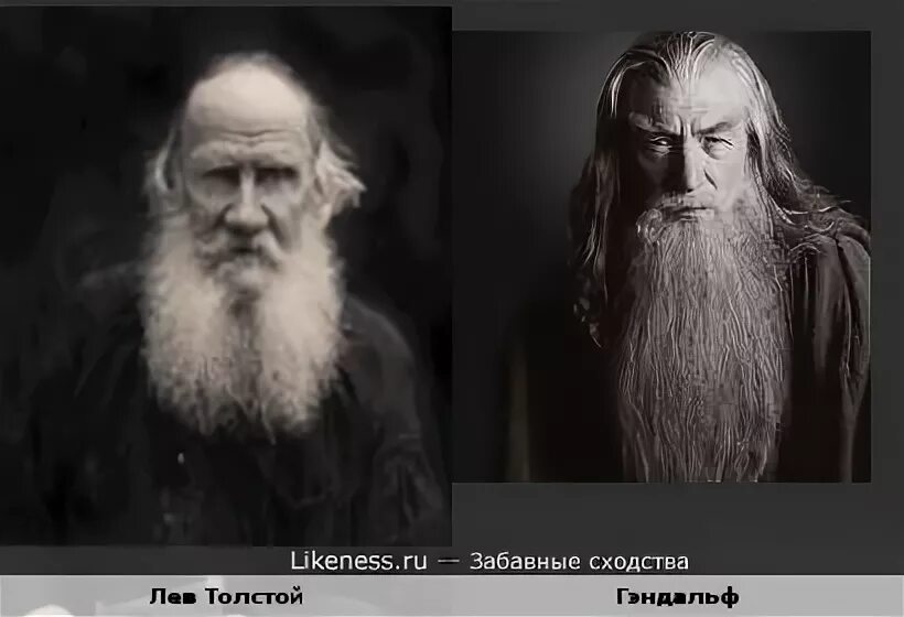 Биография льва толстого кратко самое главное и творчество (жизнь и творчество)