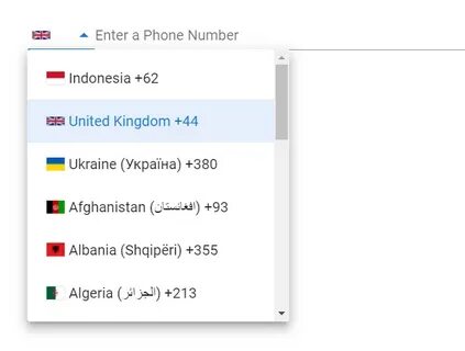 Intl tel input