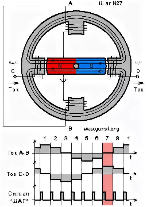 Двигатель шаговый биполярный motor pl57h110-d8. Схема обмоток бесколлекторного двигателя. Обмотки шагового двигателя. Схема устройства шагового двигателя. Схема обмоток шагового двигателя.