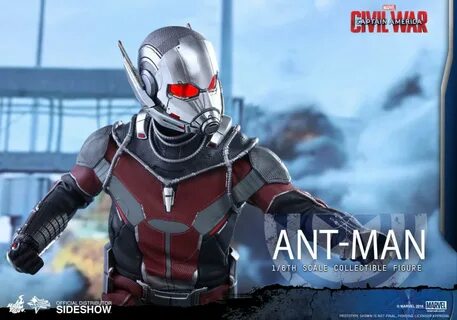 Ants 6
