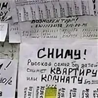 Сниму форум