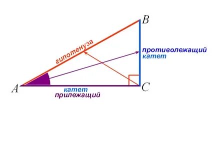 Прилежащий катет