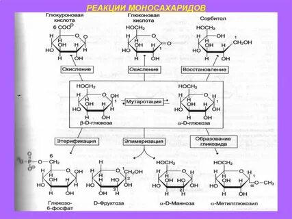 Глюконовая кислота название