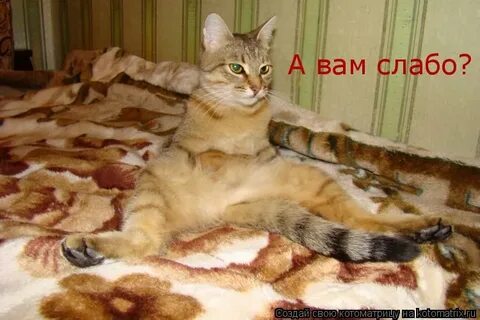А вам слабо