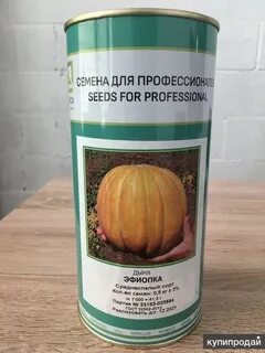 Семена дыни эфиопка